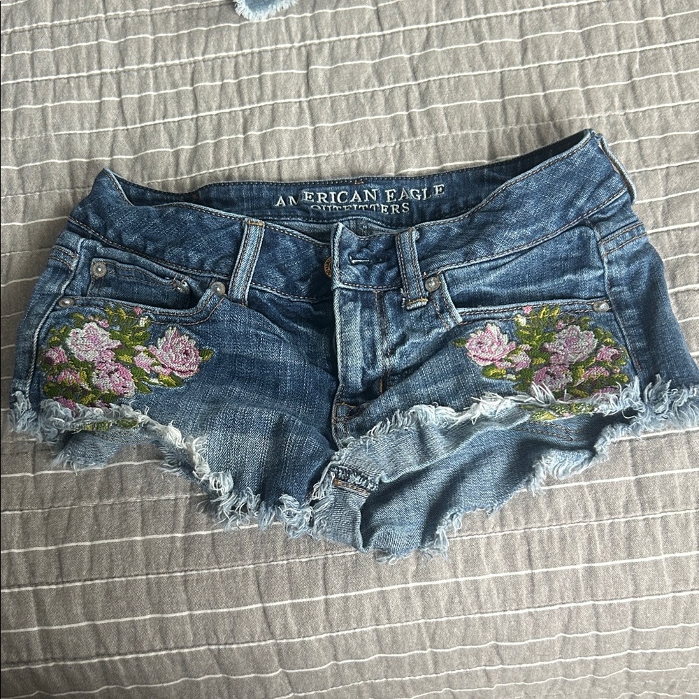 American Eagle Outfitters Blue Denim Shorts with Floral Embroidery
